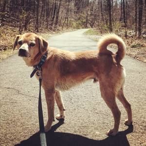 Meet your Posher, Cindy